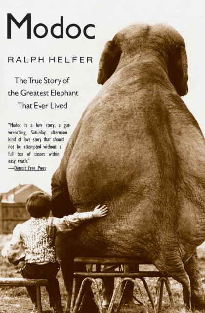 Modoc : The True Story of the Greatest Elephant That Ever Lived-9780060929510
