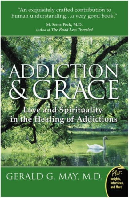 Addiction And Grace : Love And Spirituality In The Healing Of Addictions-9780061122439