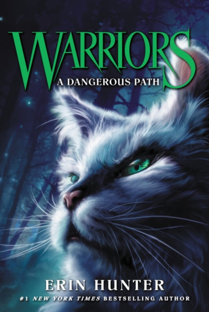 A Dangerous Path-9780062367006