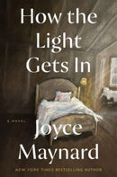 How the Light Gets In : A Novel-9780062398307