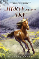 A Horse Named Sky-9780062995964