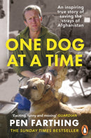 One Dog at a Time : An inspiring true story of saving the strays of Afghanistan-9780091928810