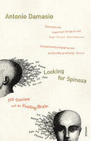 Looking For Spinoza : Joy, Sorrow and the Feeling Brain-9780099421832