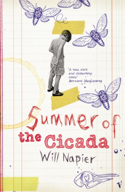 Summer Of The Cicada-9780099472230