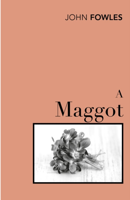 A Maggot-9780099480419
