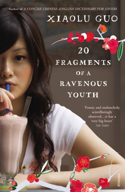 20 Fragments of a Ravenous Youth-9780099512936