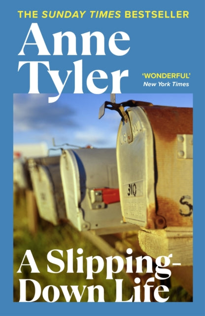 A Slipping Down Life-9780099517504