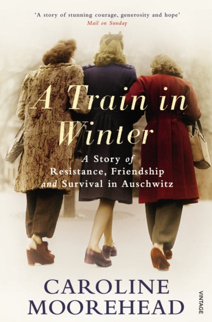 Train in Winter