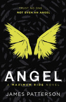 Angel: A Maximum Ride Novel : (Maximum Ride 7)-9780099543787