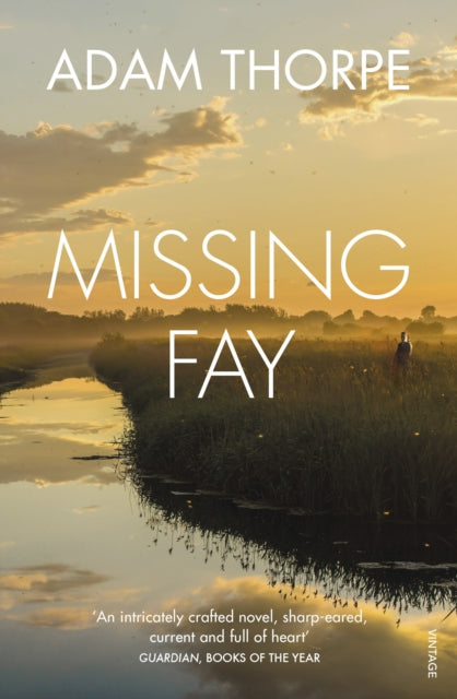 Missing Fay-9780099584124