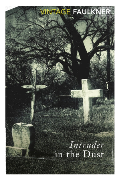 Intruder in the Dust-9780099740315