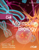Molecular Biology-9780128132883