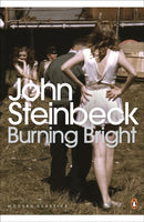 Burning Bright : A Play in Story Form-9780141186061