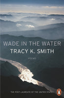 Wade in the Water-9780141987842