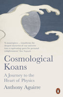 Cosmological Koans : A Journey to the Heart of Physics-9780141991764