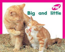 Big and little-9780170095396