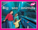 Big sea animals-9780170095402