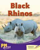 Black Rhinos