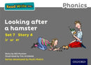 Read Write Inc. Phonics: Looking After a Hamster (Grey Set 7 Storybook 4)-9780198372295