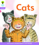 Oxford Reading Tree: Level 1+: Floppy''s Phonics Fiction: Pack of 6