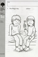 Oxford Reading Tree: Level 5: Workbooks: Class Pack 5A (30 workbooks)-9780199162451