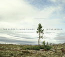 The Oldest Living Things in the World-9780226057507