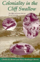 Coloniality in the Cliff Swallow – The Effect of Group Size on Social Behavior