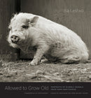 Allowed to Grow Old : Portraits of Elderly Animals from Farm Sanctuaries-9780226391373