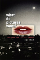 What Do Pictures Want?
