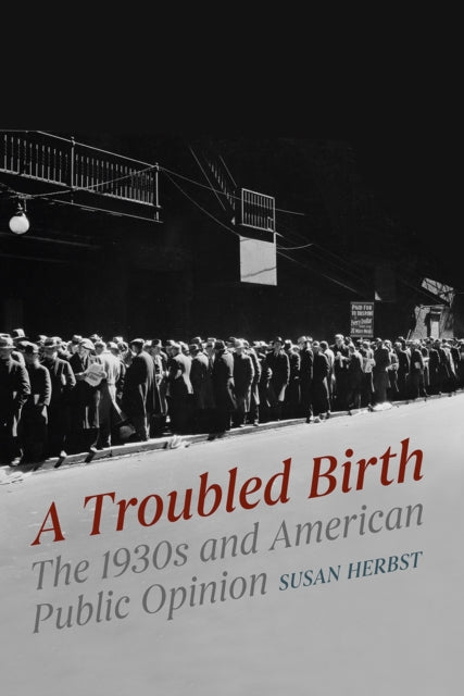 A Troubled Birth : The 1930s and American Public Opinion-9780226813103