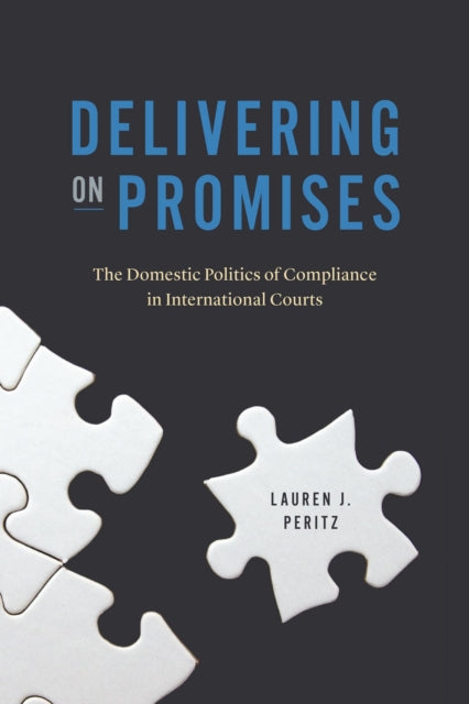 Delivering on Promises : The Domestic Politics of Compliance in International Courts-9780226822150