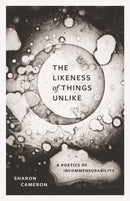 The Likeness of Things Unlike – A Poetics of Incommensurability