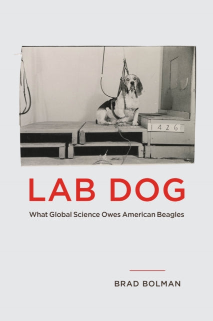 Lab Dog : What Global Science Owes American Beagles-9780226839745