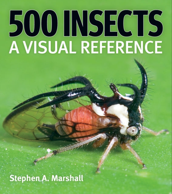 500 Insects: A Visual Reference-9780228104940