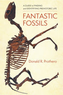 Fantastic Fossils : A Guide to Finding and Identifying Prehistoric Life-9780231195782