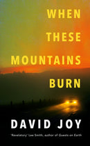 When These Mountains Burn : The literary crime thriller from the prizewinning master of American noir fiction-9780233006390