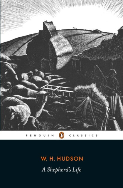 A Shepherd's Life-9780241273357