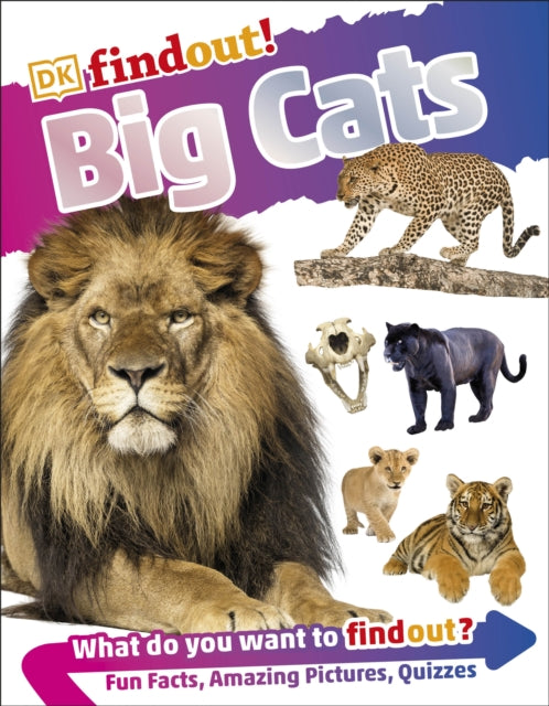 DKfindout! Big Cats-9780241358412