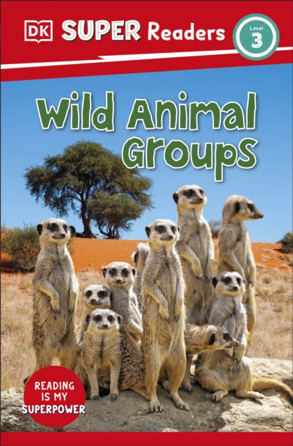 DK Super Readers Level 3 Wild Animal Groups-9780241603451