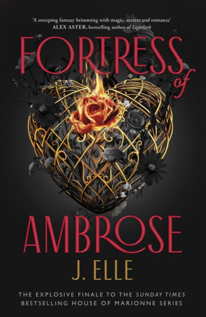 Fortress of Ambrose-9780241681565