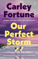 Our Perfect Storm-9780241813782