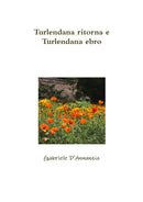 Turlendana ritorna e Turlendana ebro-9780244327033