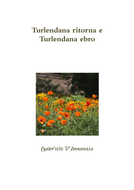 Turlendana ritorna e Turlendana ebro-9780244327033