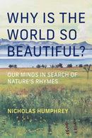 Why Is the World So Beautiful?