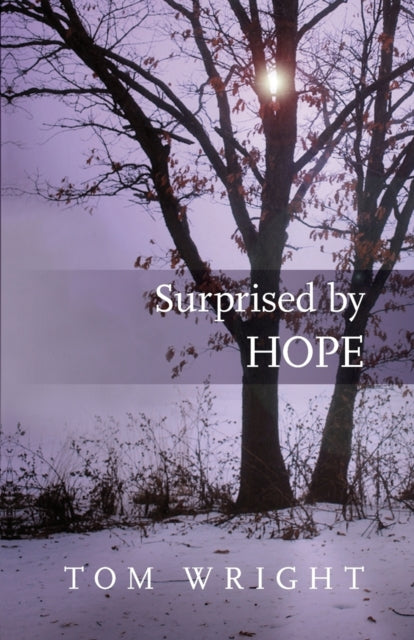 Surprised by Hope – Rethinking heaven, the resurrection and the mission of the Church