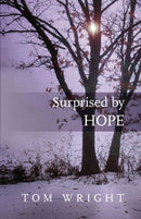 Surprised by Hope – Rethinking heaven, the resurrection and the mission of the Church