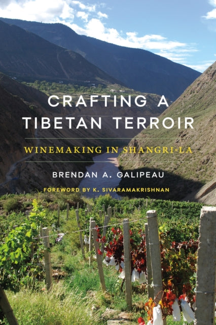 Crafting a Tibetan Terroir : Winemaking in Shangri-La-9780295753362