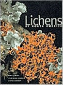 Lichens of North America-9780300082494