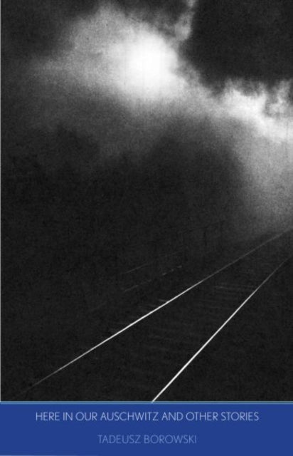 Here in Our Auschwitz and Other Stories-9780300116908