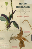 In the Herbarium – The Hidden World of Collecting and Preserving Plants